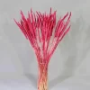 Doğal Kurutulmuş Pembe Renk Solucan Otu
