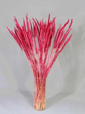 soklanmis-lavanta (1) Doğal Kurutulmuş Pembe Renk Solucan Otu