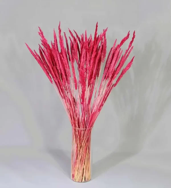 Doğal Kurutulmuş Pembe Renk Solucan Otu