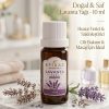 EFİRAZ Lavanta Yağı 10 ml | Doğal Lavanta Uçucu Yağı | Aromaterapi & Buhurdanlık Yağı | Yoğun Lavanta Kokusu